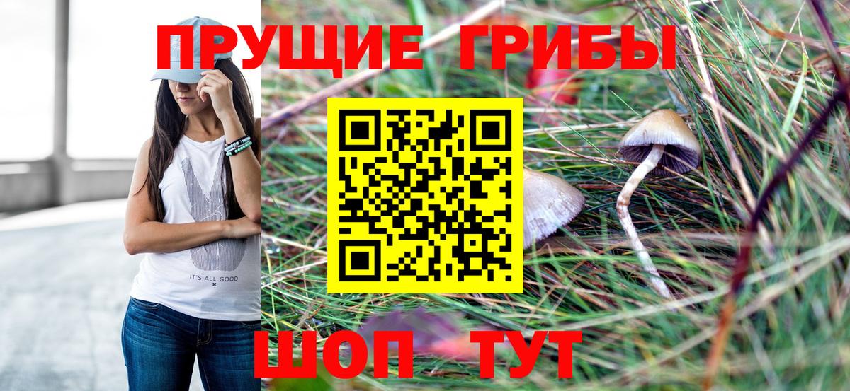 Псилоцибиновые грибы GOLDEN TEACHER Крымск