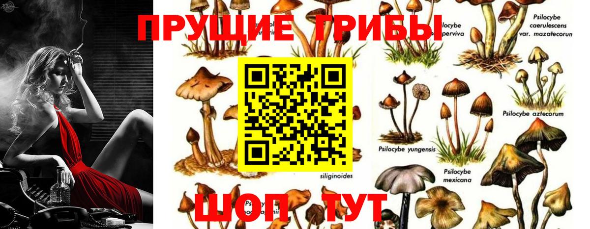 Крымск  Псилоцибиновые грибы ЛСД  Вход с VPN 